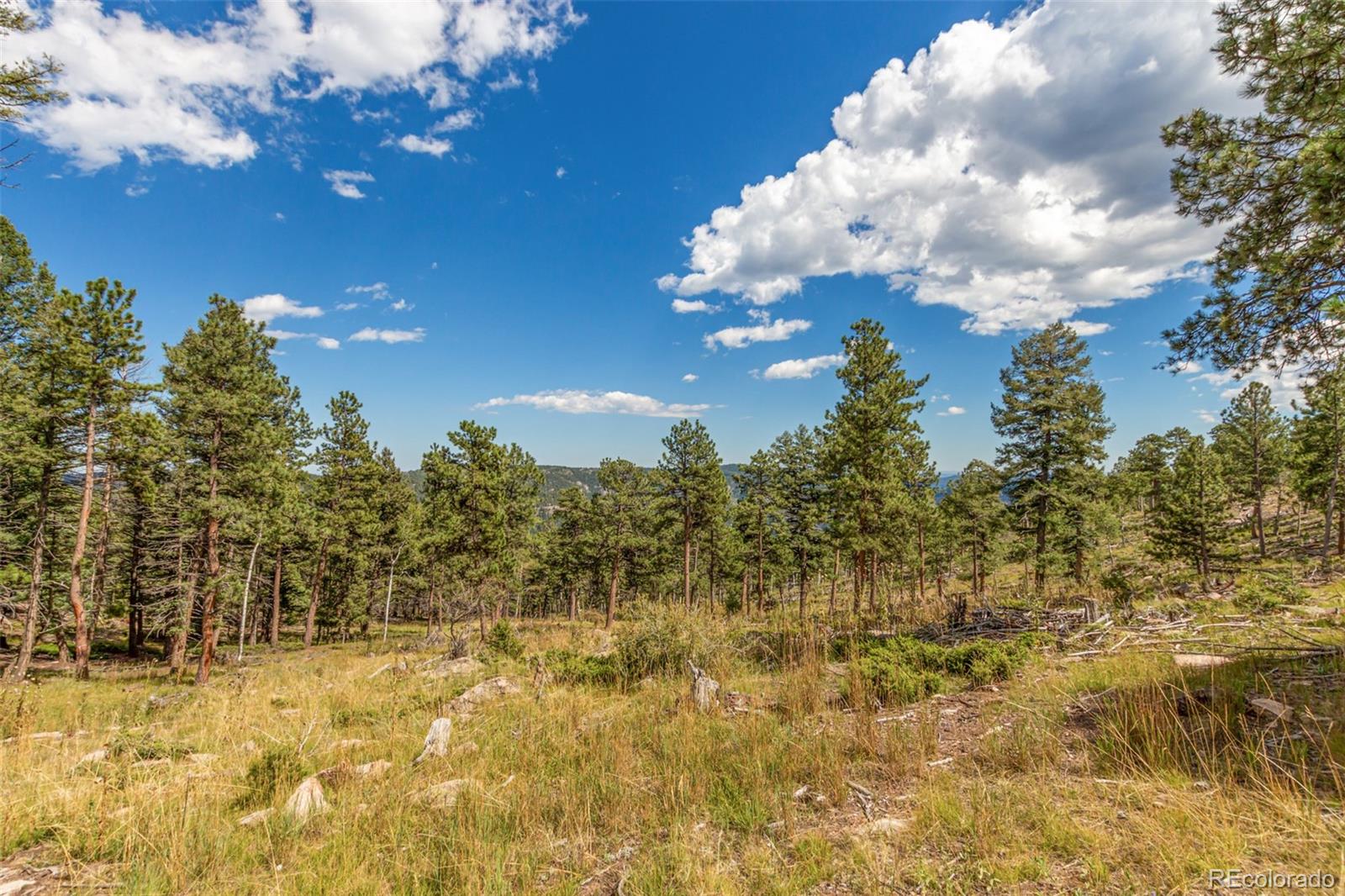 13144 Pine Country Lane Conifer CO 80433