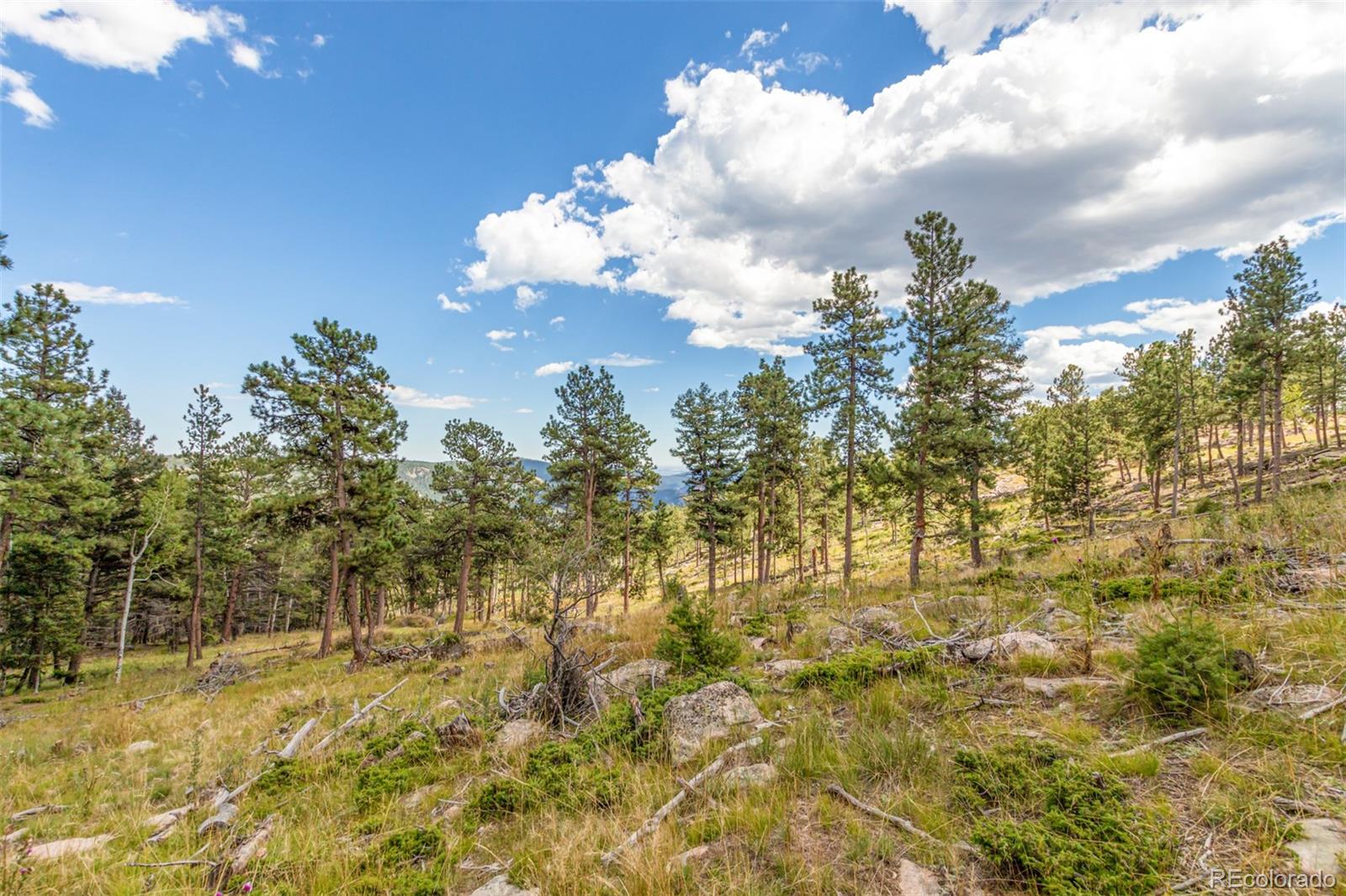 13144 Pine Country Lane Conifer CO 80433