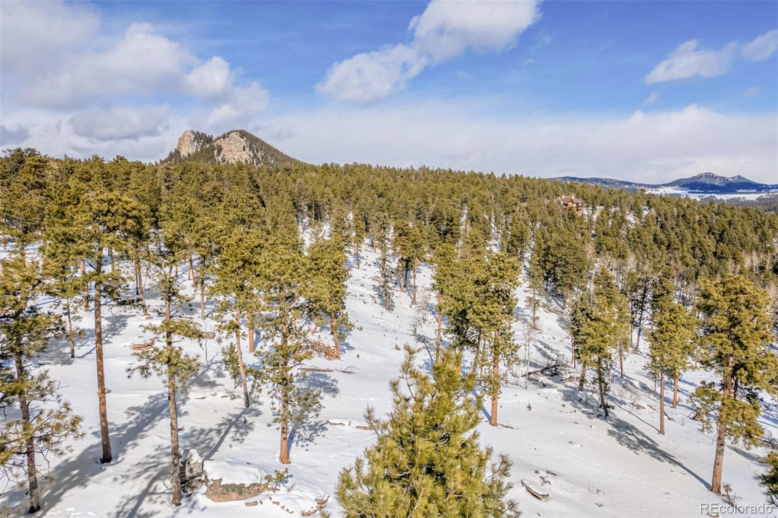 13144 Pine Country Lane Conifer CO 80433