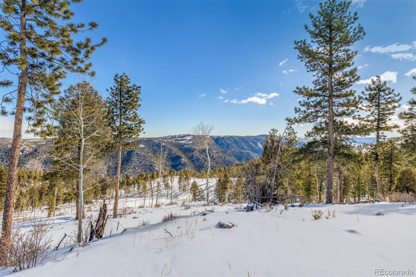 13144 Pine Country Lane Conifer CO 80433