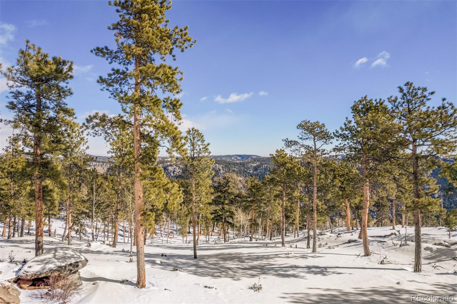 13144 Pine Country Lane Conifer CO 80433
