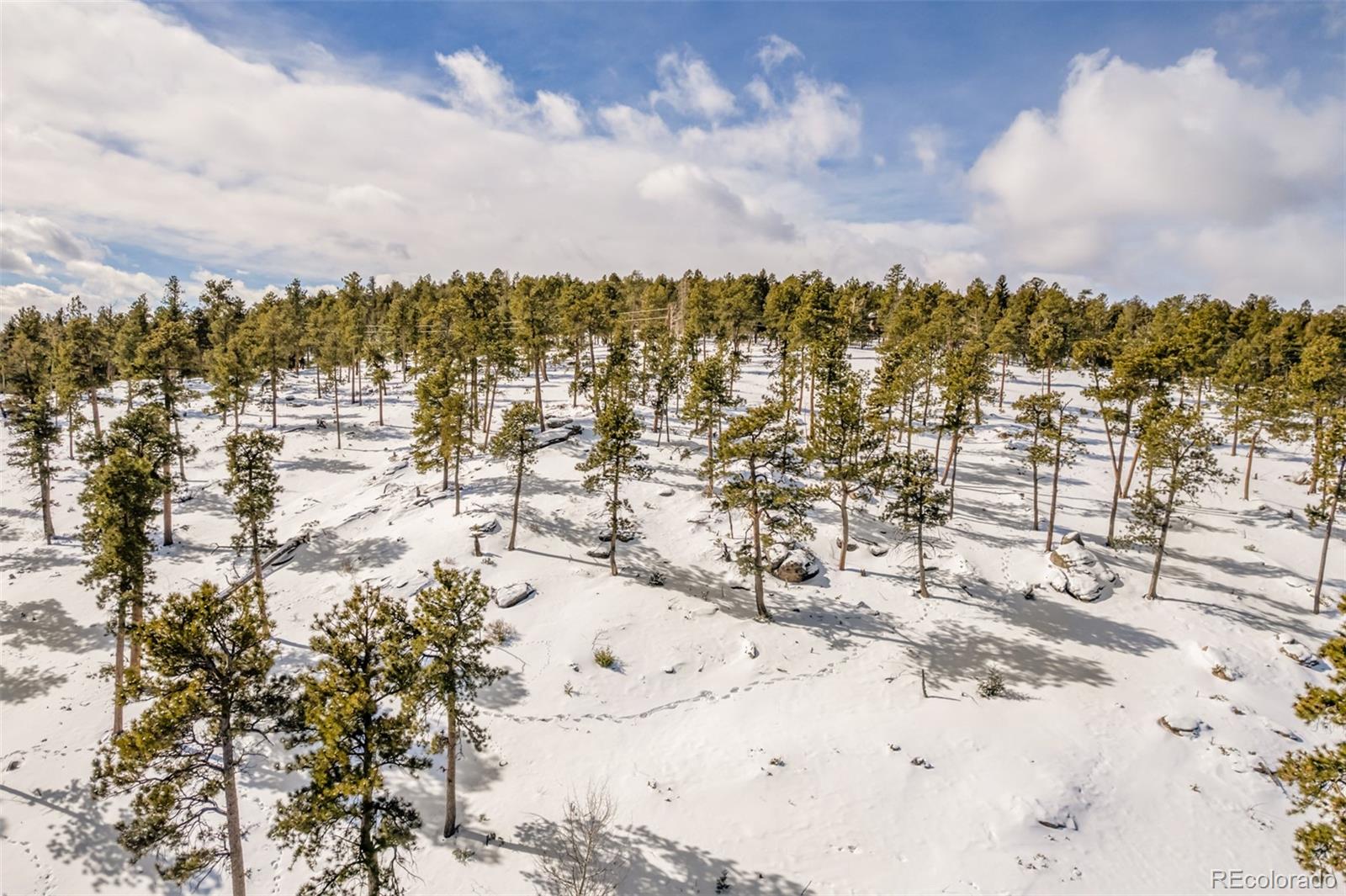 13144 Pine Country Lane Conifer CO 80433