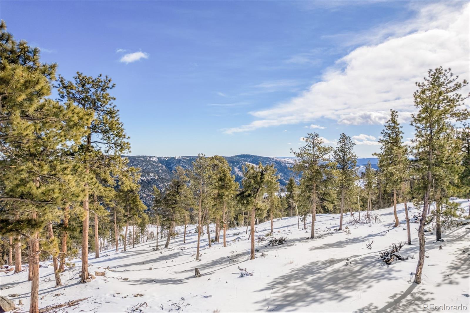13144 Pine Country Lane Conifer CO 80433
