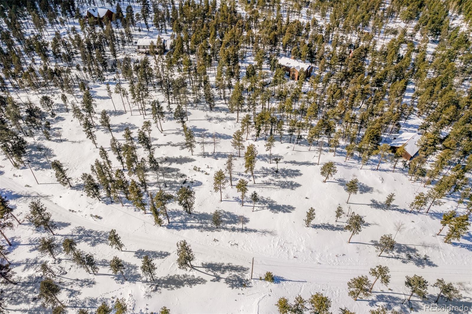 13144 Pine Country Lane Conifer CO 80433