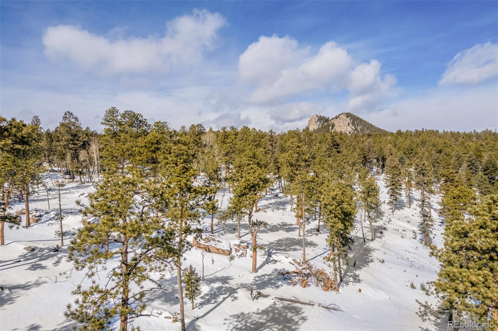 13144 Pine Country Lane Conifer CO 80433