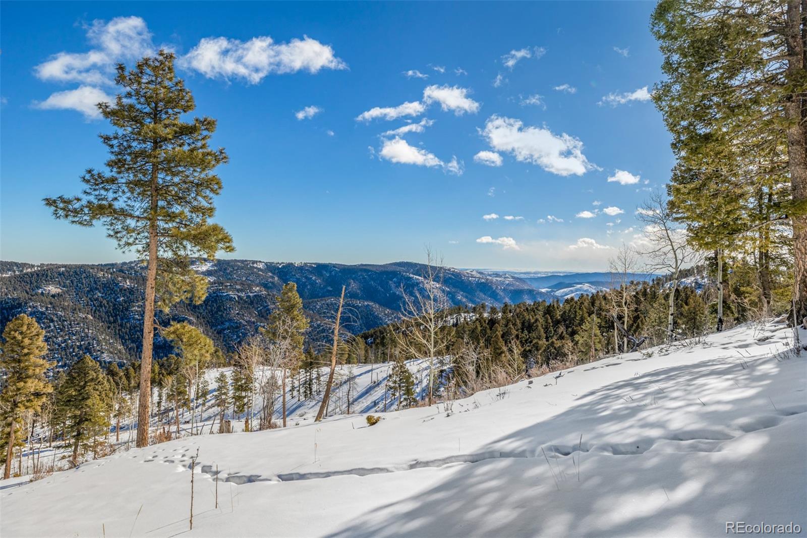 13144 Pine Country Lane Conifer CO 80433
