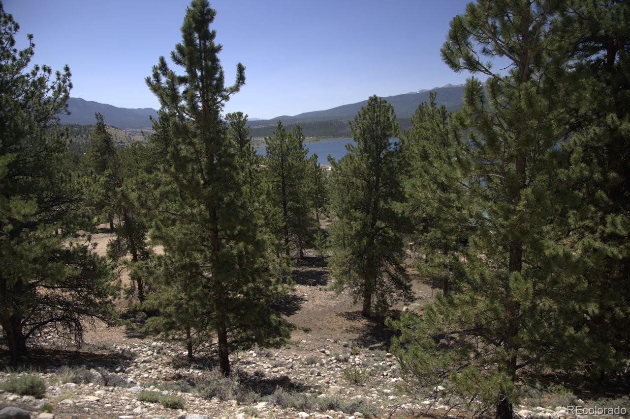 426 Parry Peak Drive Twin Lakes CO 81251