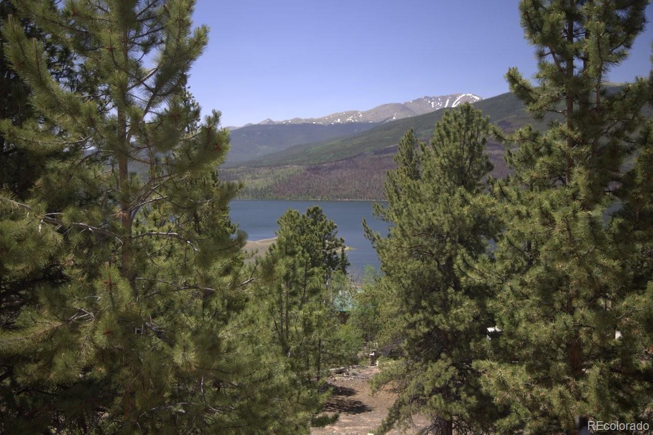 426 Parry Peak Drive Twin Lakes CO 81251
