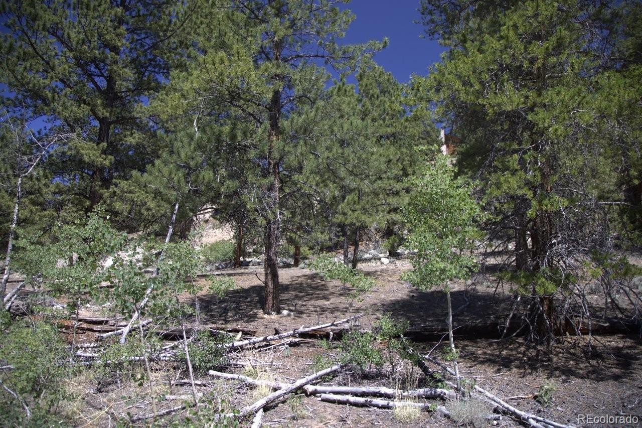 426 Parry Peak Drive Twin Lakes CO 81251