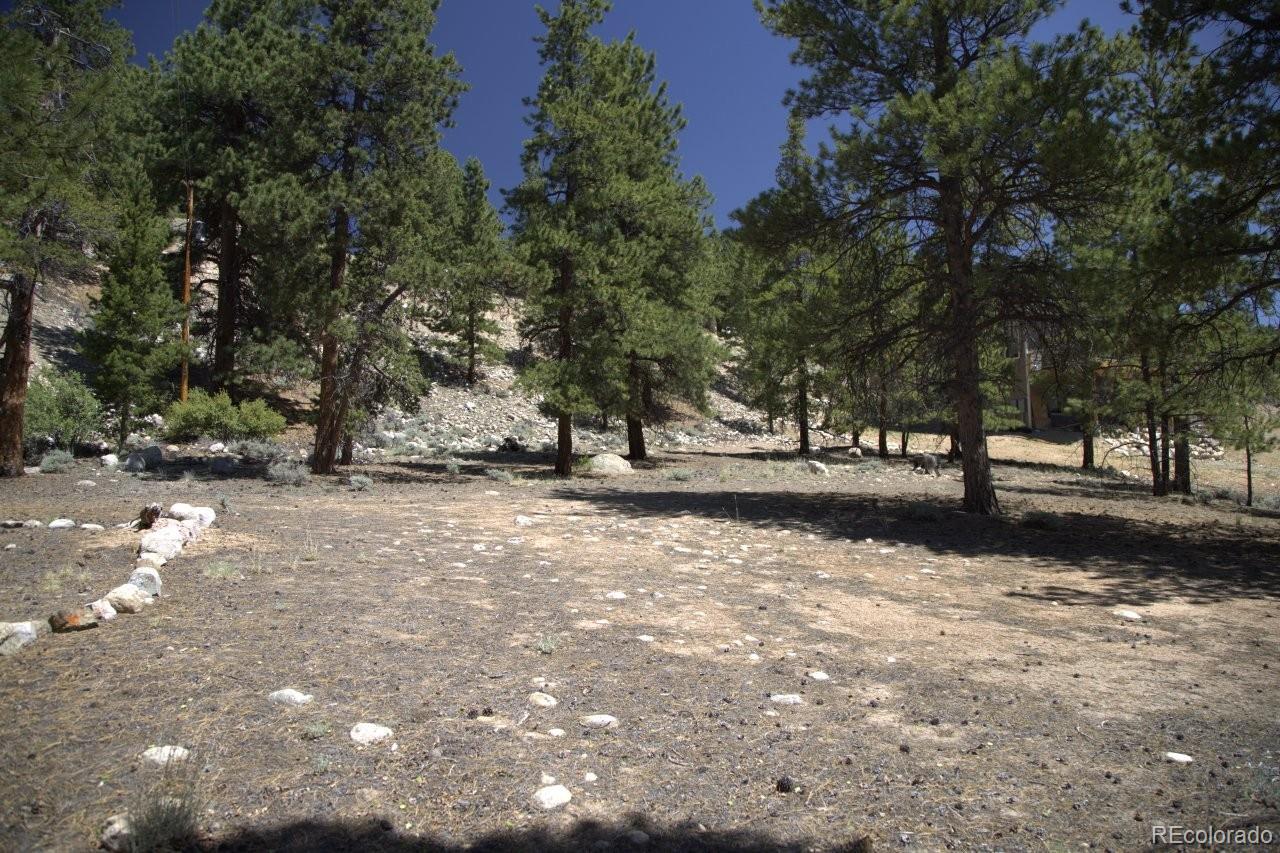 426 Parry Peak Drive Twin Lakes CO 81251