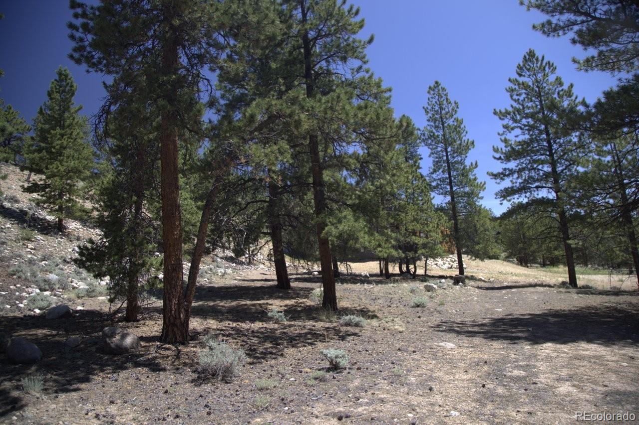 426 Parry Peak Drive Twin Lakes CO 81251