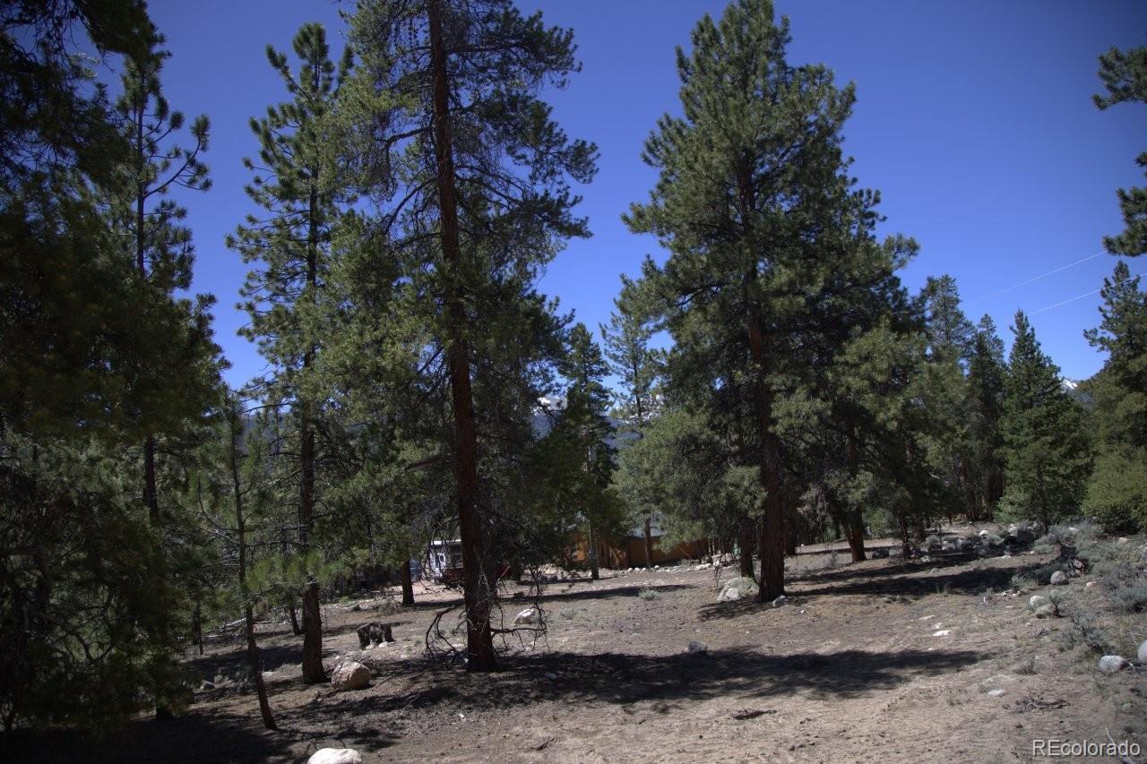 426 Parry Peak Drive Twin Lakes CO 81251