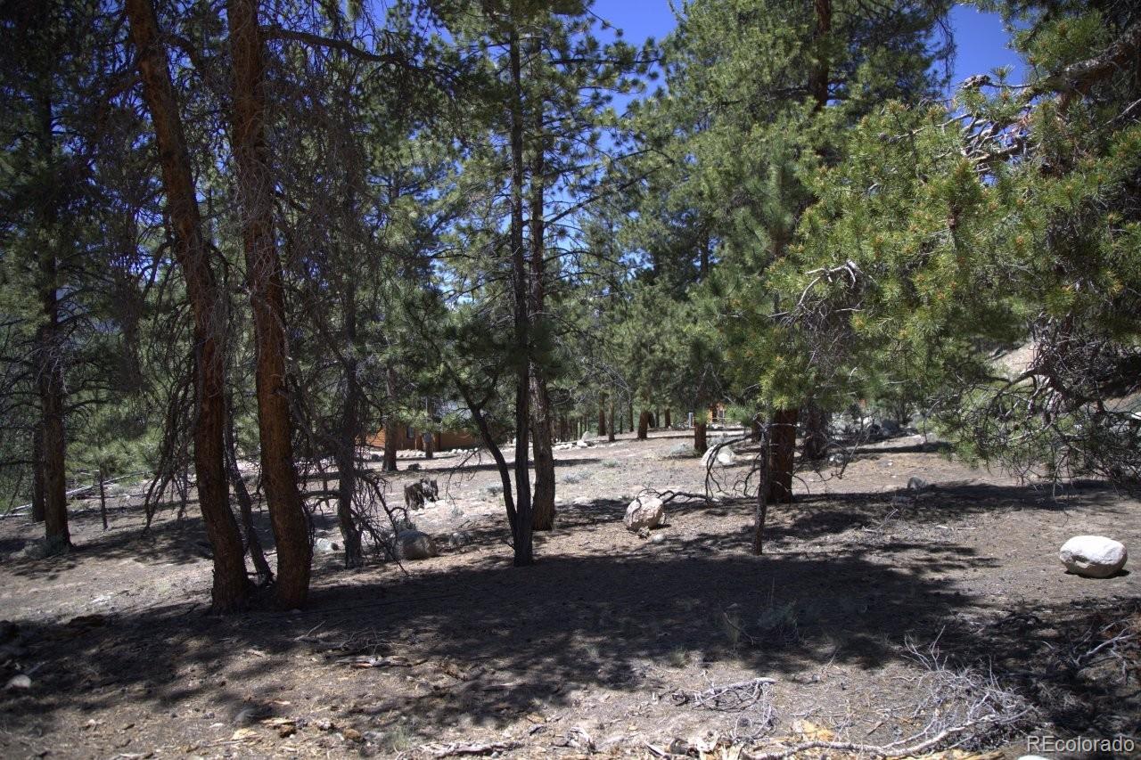 426 Parry Peak Drive Twin Lakes CO 81251