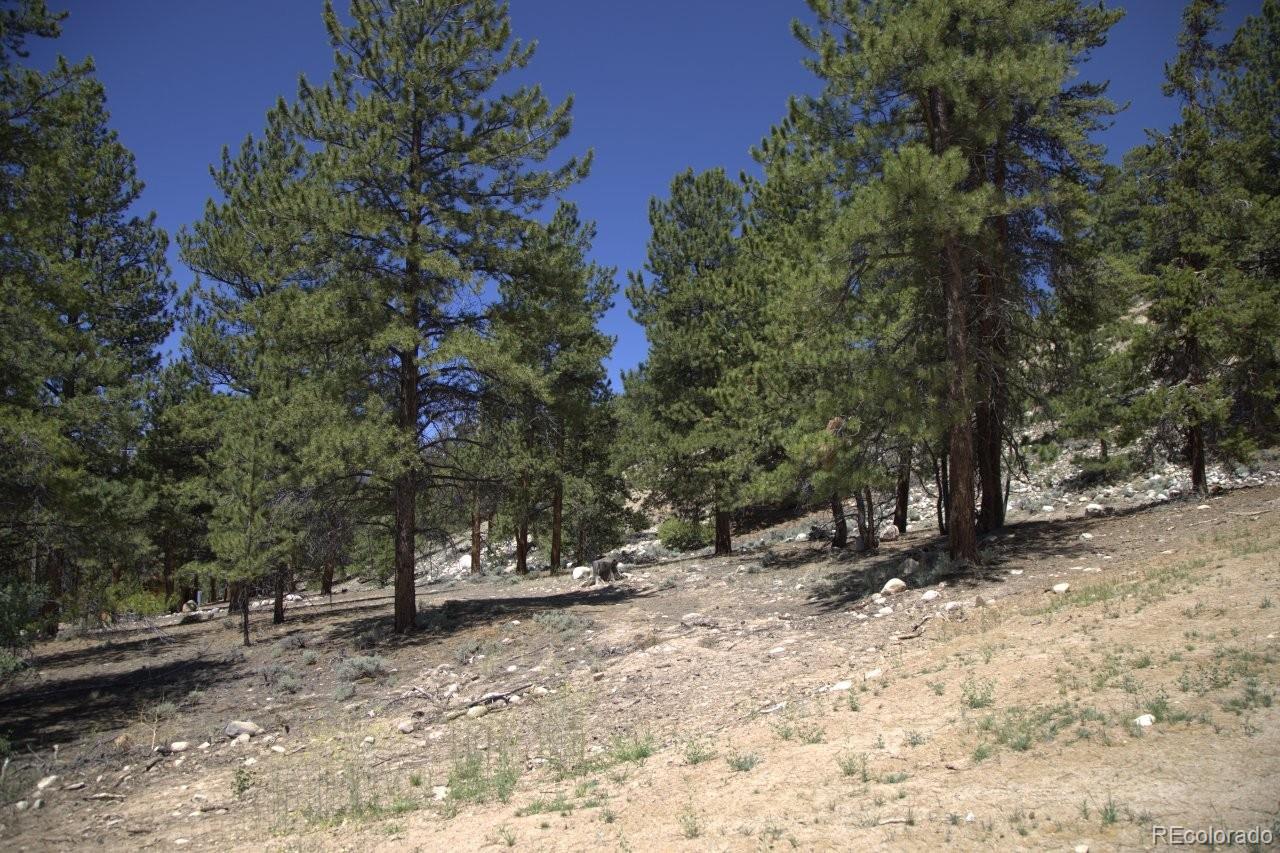 426 Parry Peak Drive Twin Lakes CO 81251
