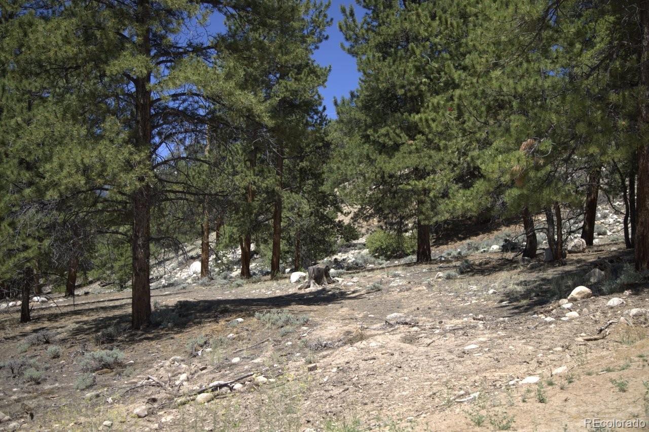 426 Parry Peak Drive Twin Lakes CO 81251