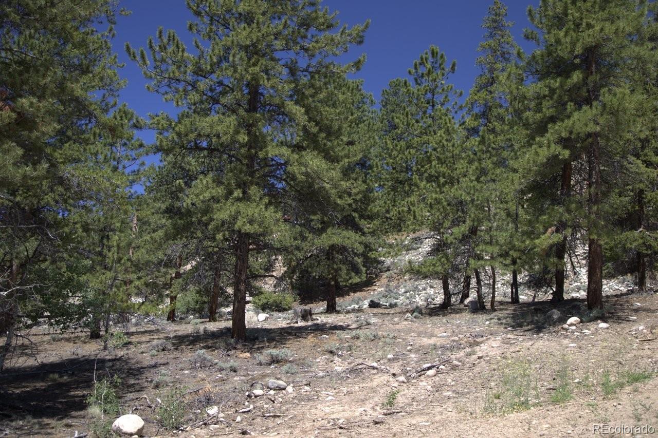 426 Parry Peak Drive Twin Lakes CO 81251