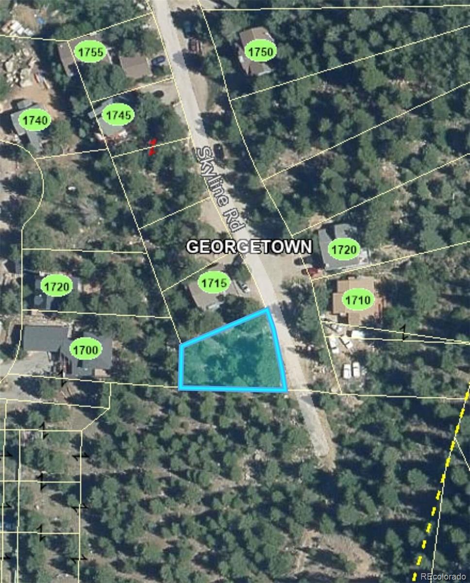 112 Skyline Road Georgetown CO 80444