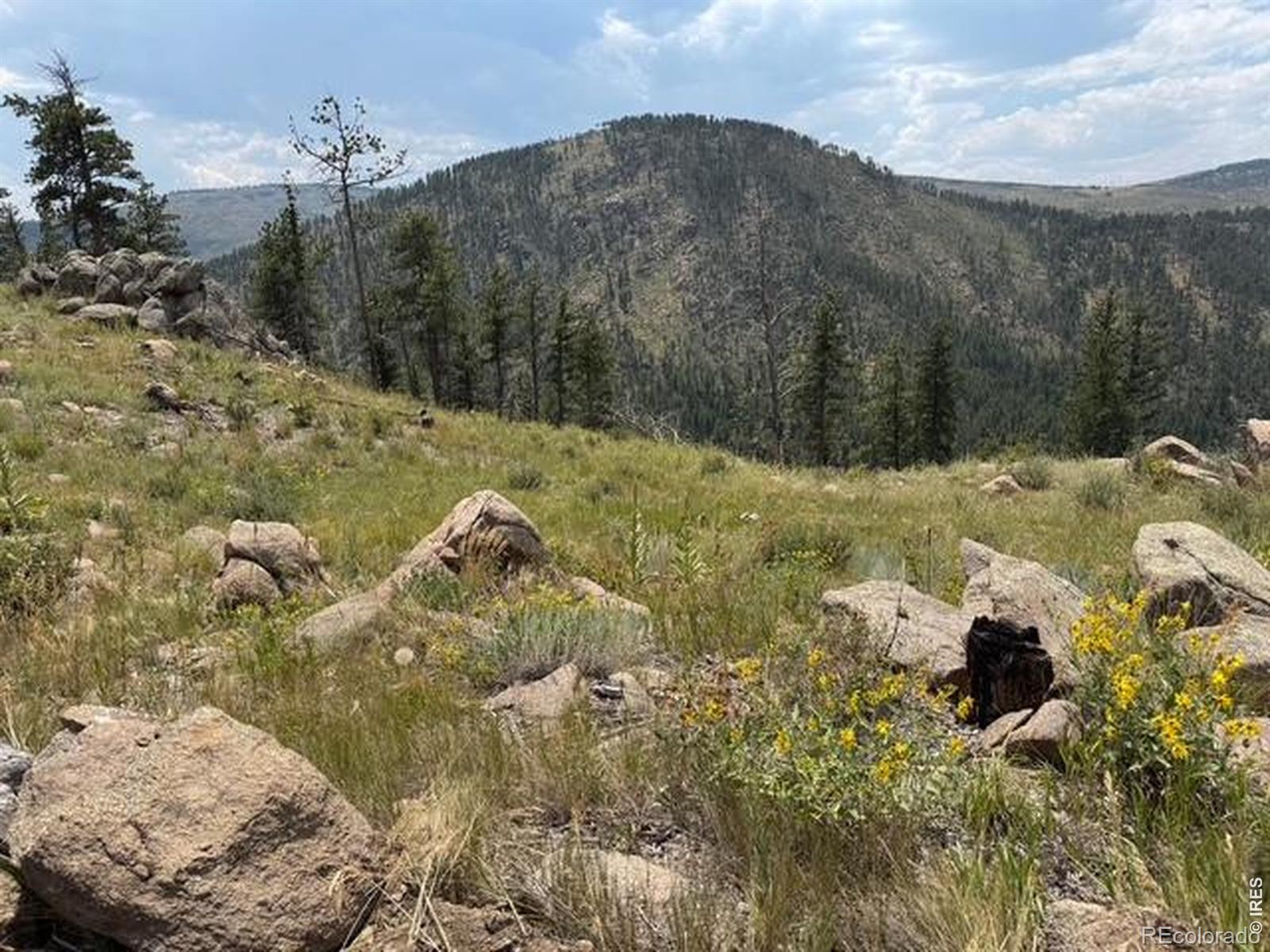 865 Redstone Drive Bellvue CO 80512