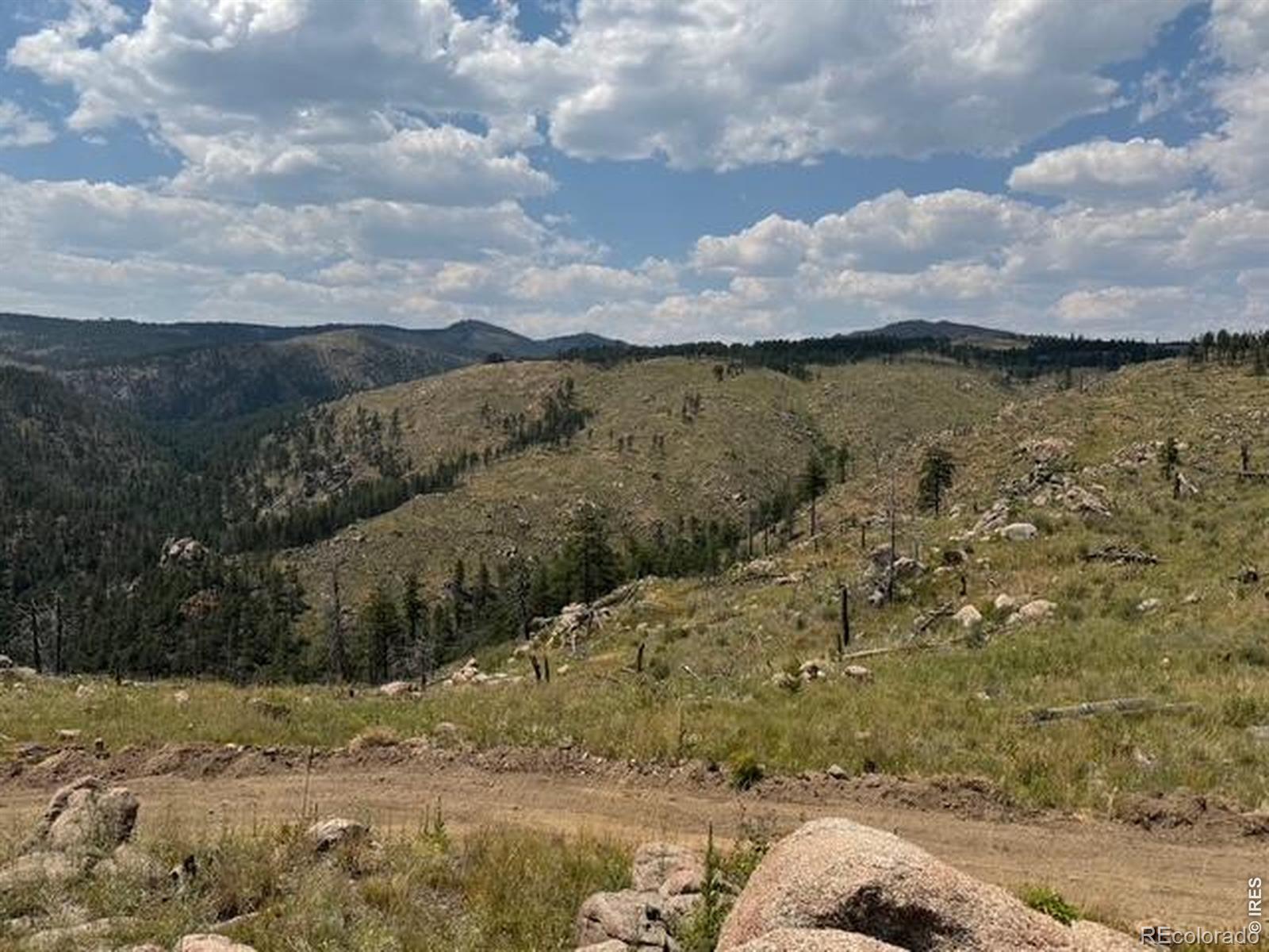 865 Redstone Drive Bellvue CO 80512