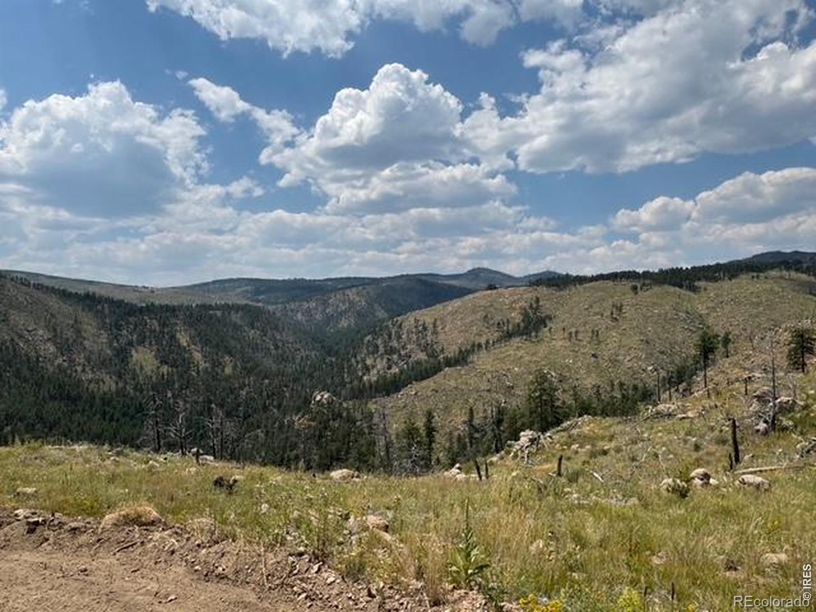865 Redstone Drive Bellvue CO 80512