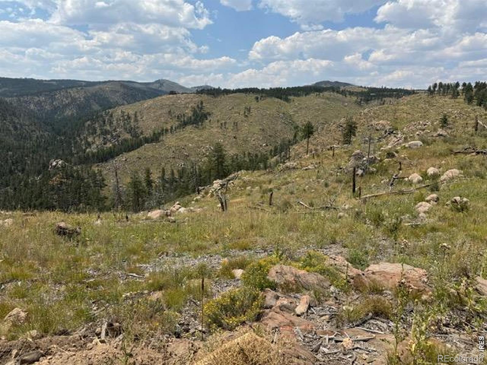 865 Redstone Drive Bellvue CO 80512