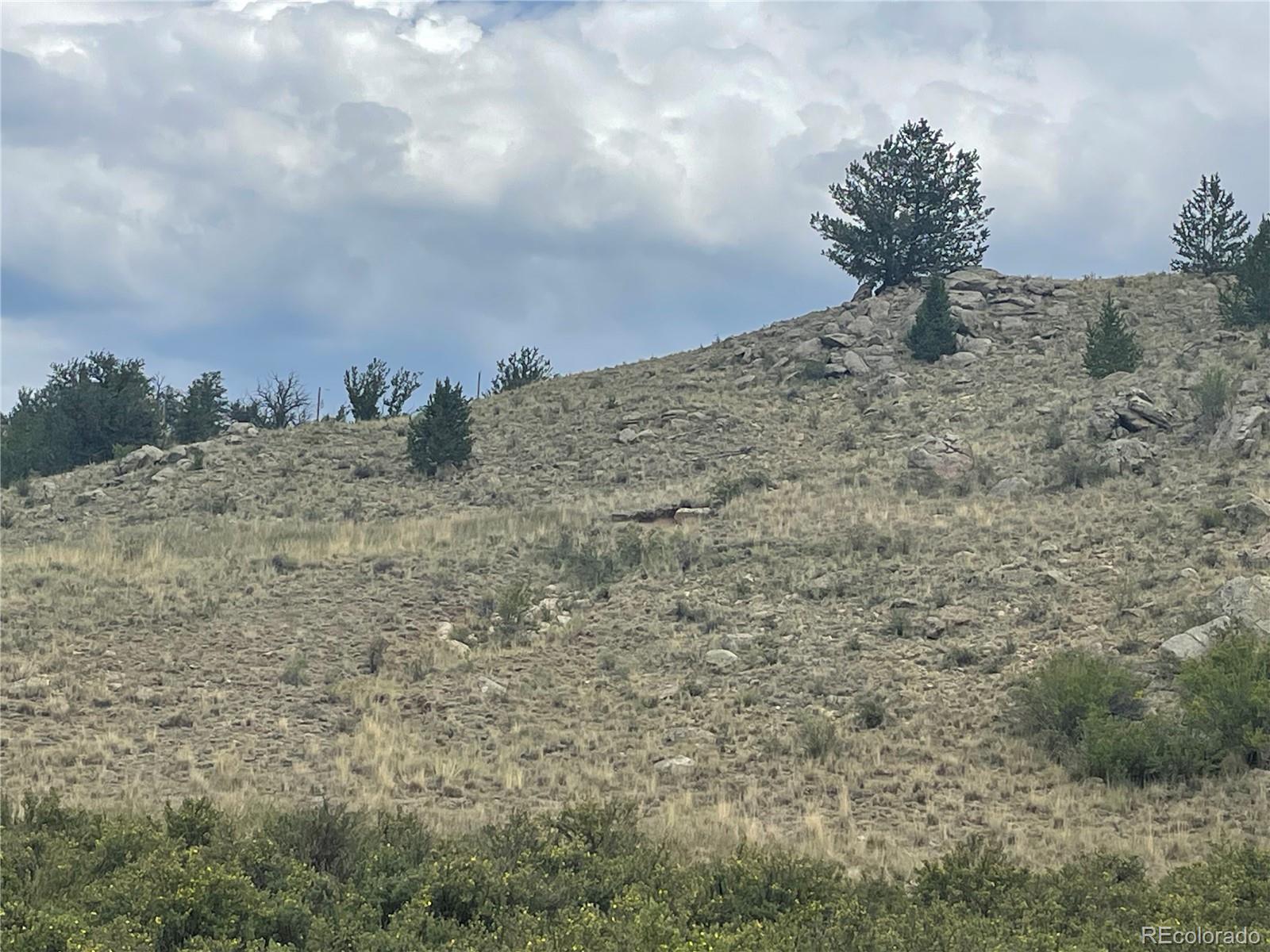 924 Mustang Road Como CO 80432
