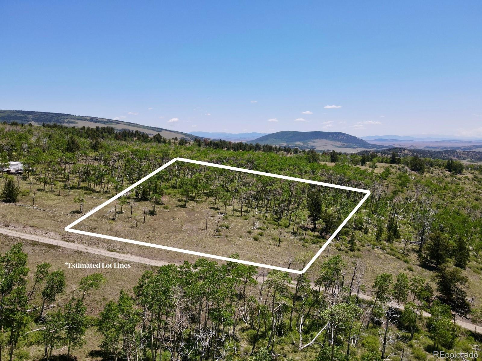 74 Forest Drive Fairplay CO 80440