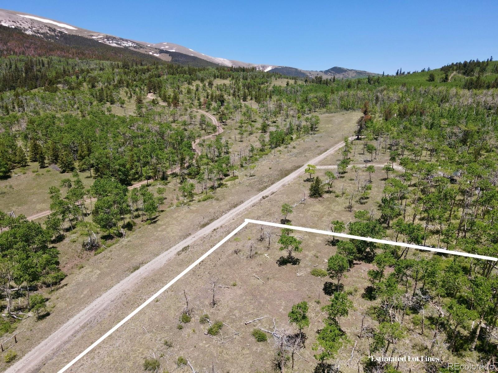 74 Forest Drive Fairplay CO 80440