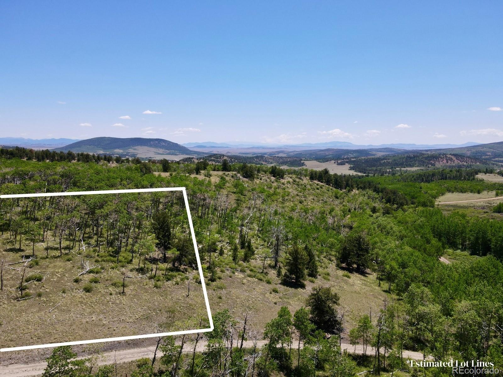74 Forest Drive Fairplay CO 80440