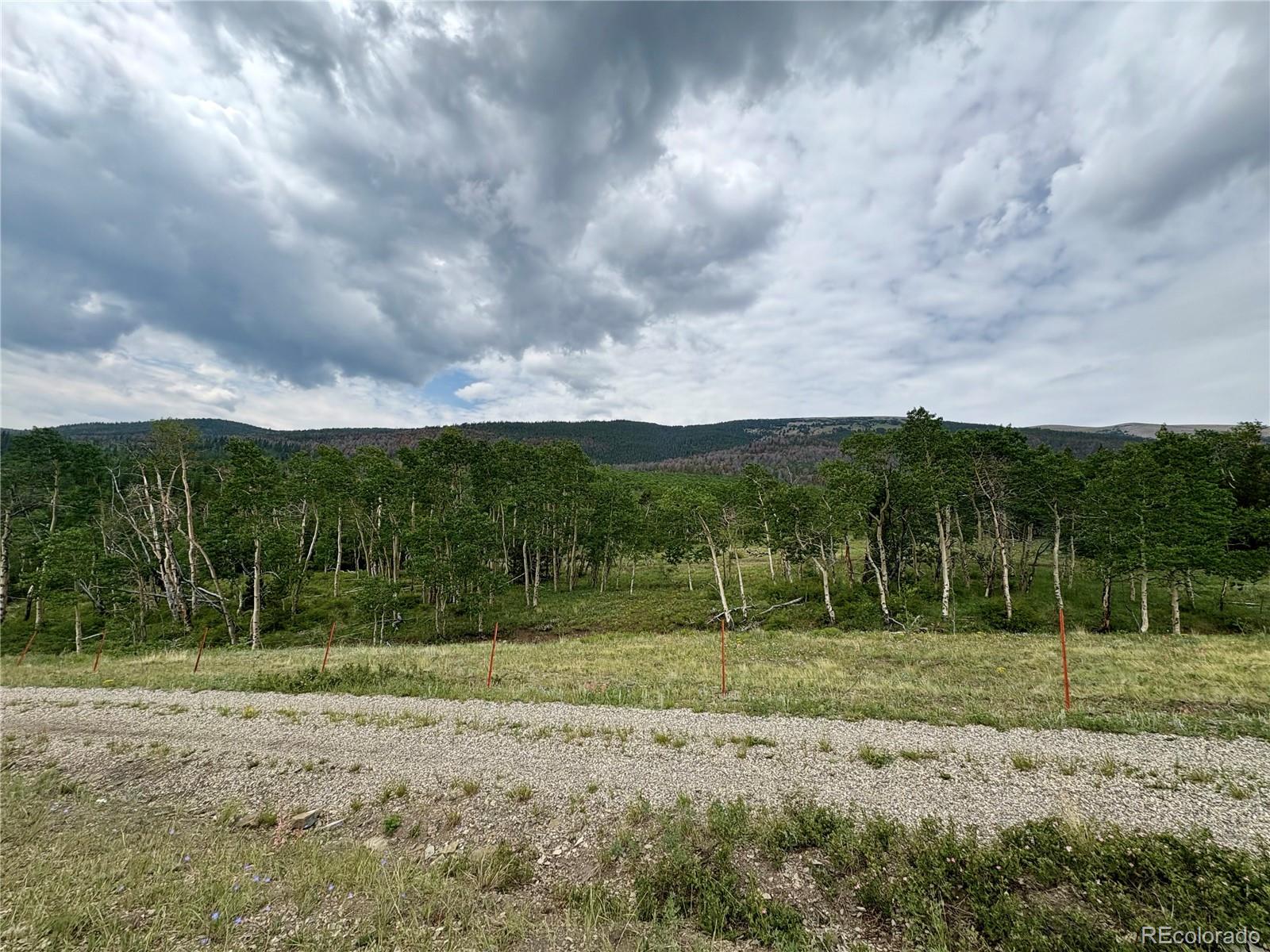 74 Forest Drive Fairplay CO 80440