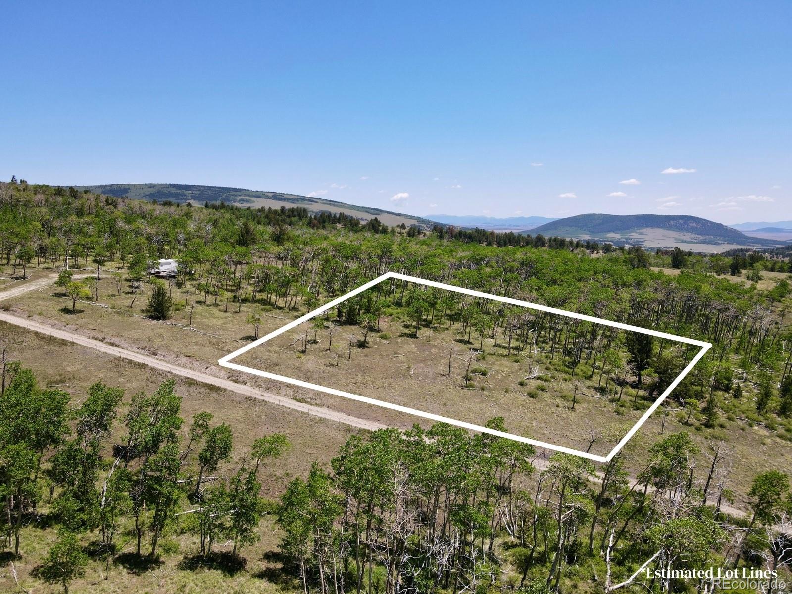 74 Forest Drive Fairplay CO 80440