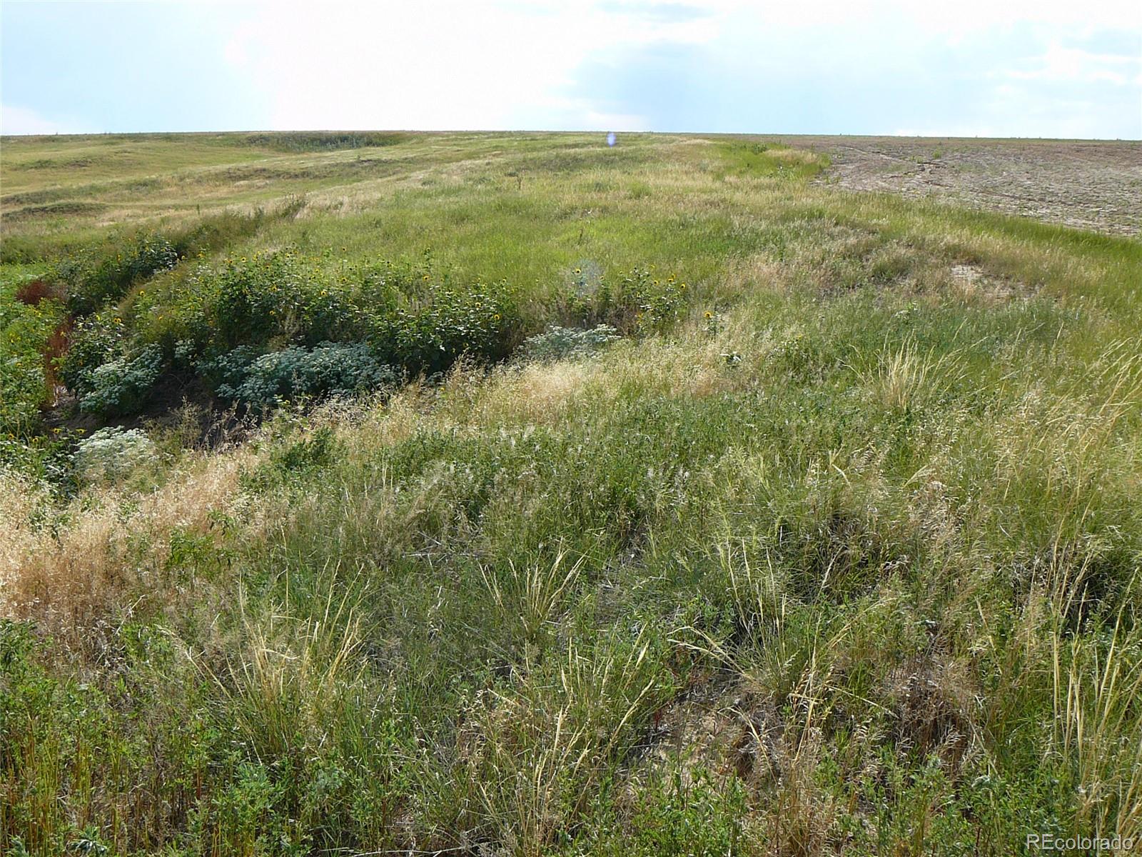 Private Deer Trail CO 80105
