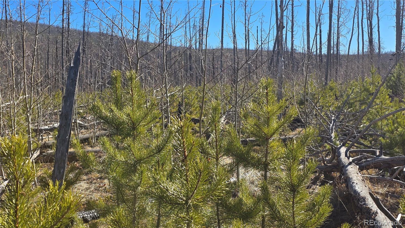 Lot 1460 Von Heyl Lane Fort Garland CO 81133