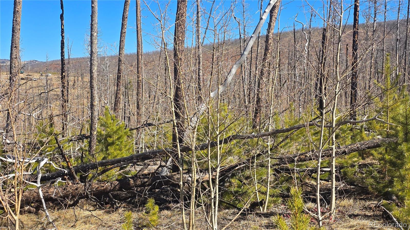 Lot 1460 Von Heyl Lane Fort Garland CO 81133