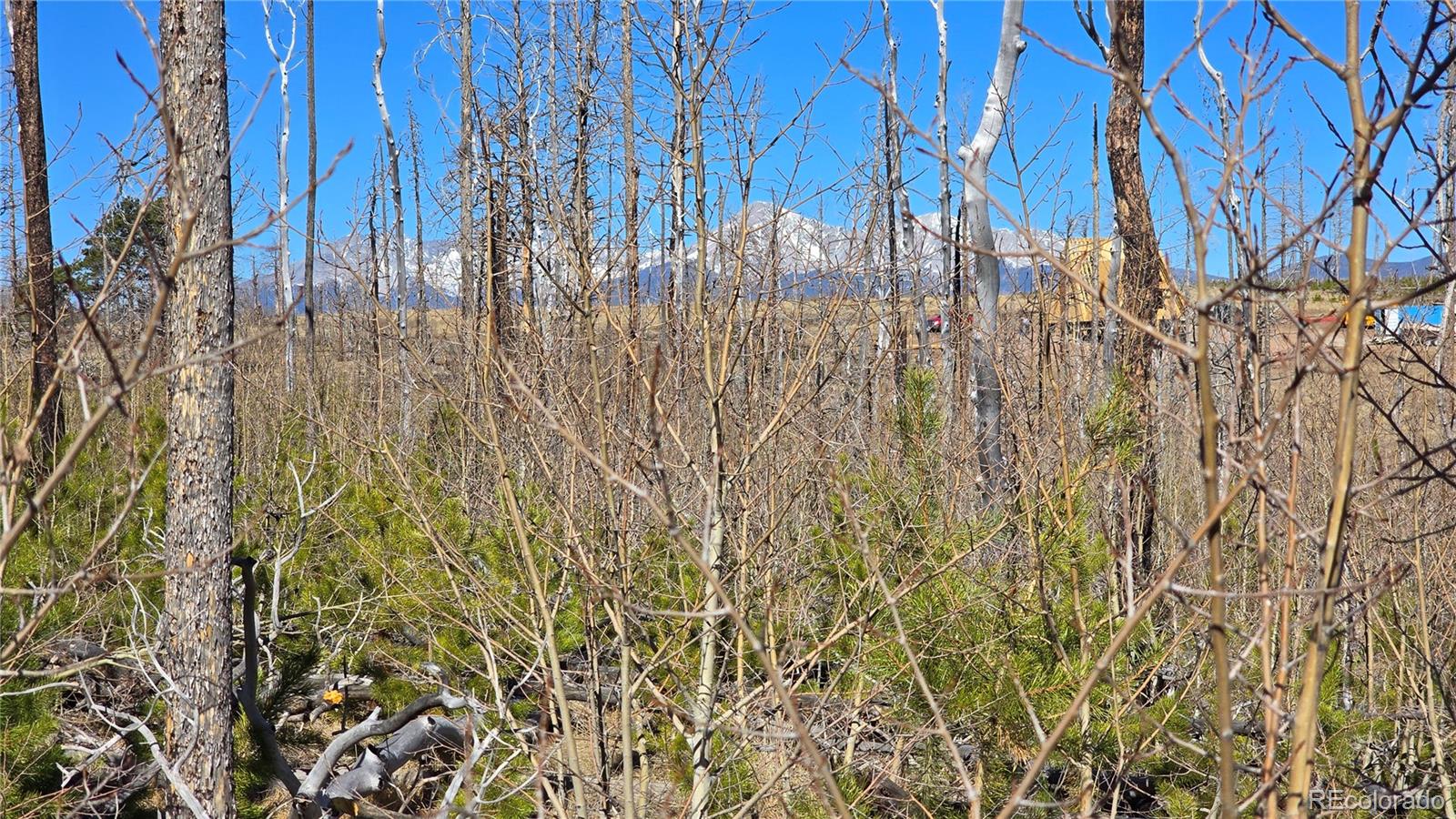 Lot 1460 Von Heyl Lane Fort Garland CO 81133