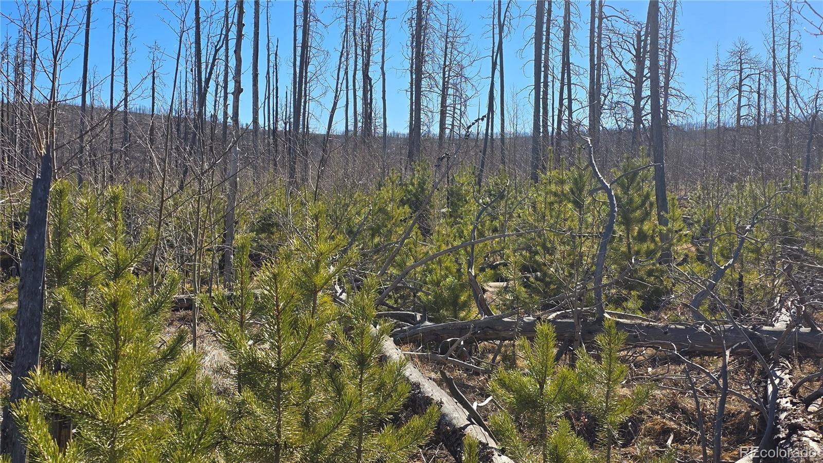 Lot 1460 Von Heyl Lane Fort Garland CO 81133