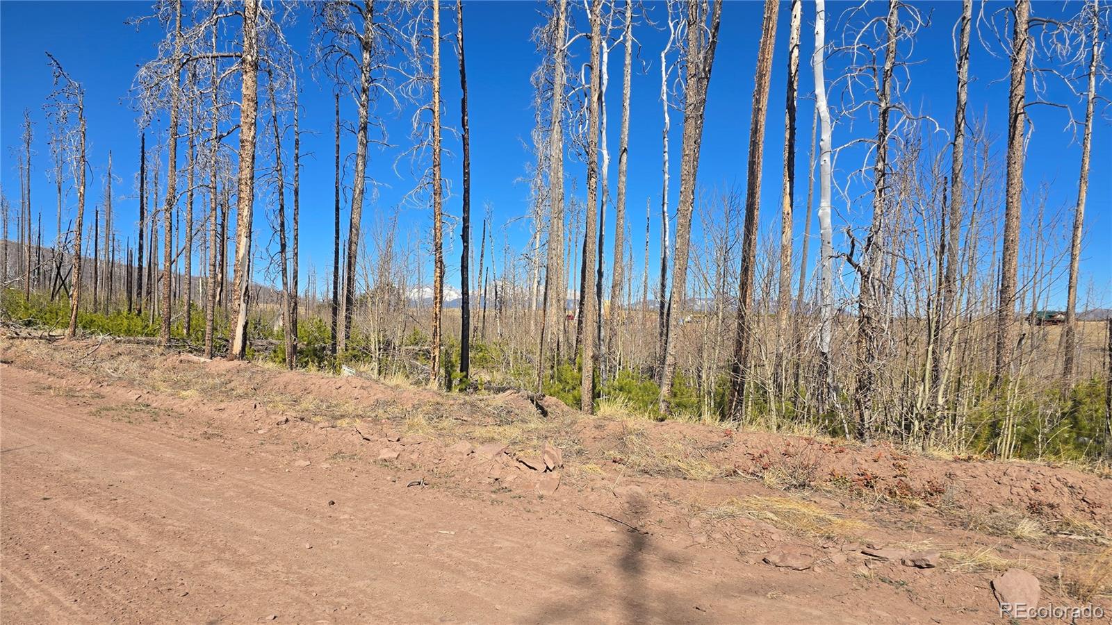 Lot 1460 Von Heyl Lane Fort Garland CO 81133