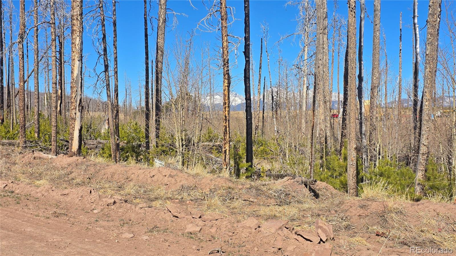 Lot 1460 Von Heyl Lane Fort Garland CO 81133