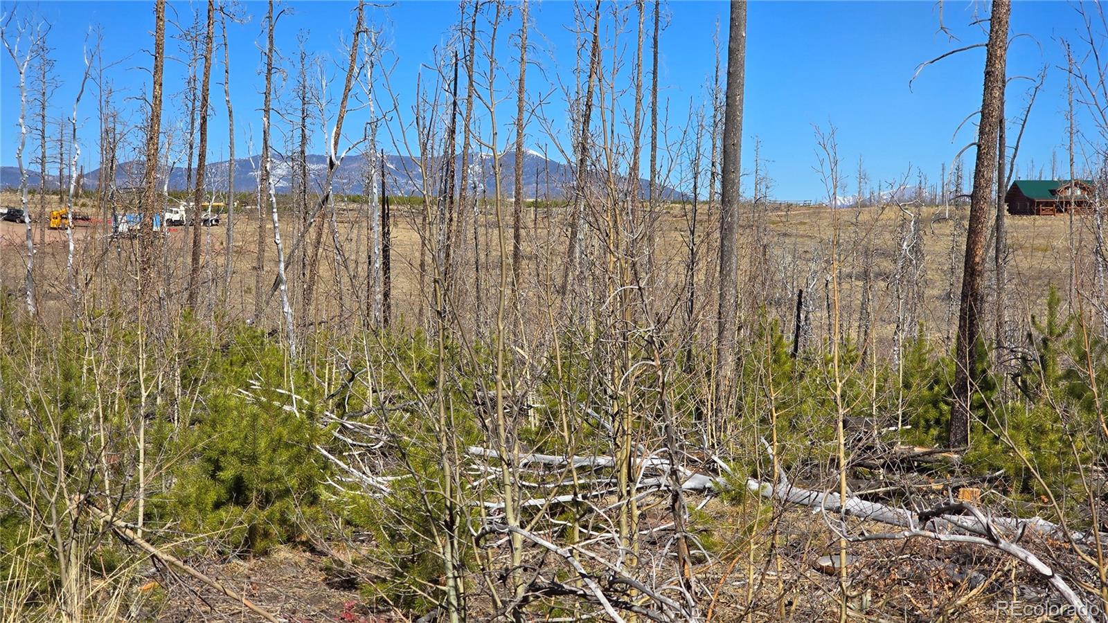 Lot 1460 Von Heyl Lane Fort Garland CO 81133