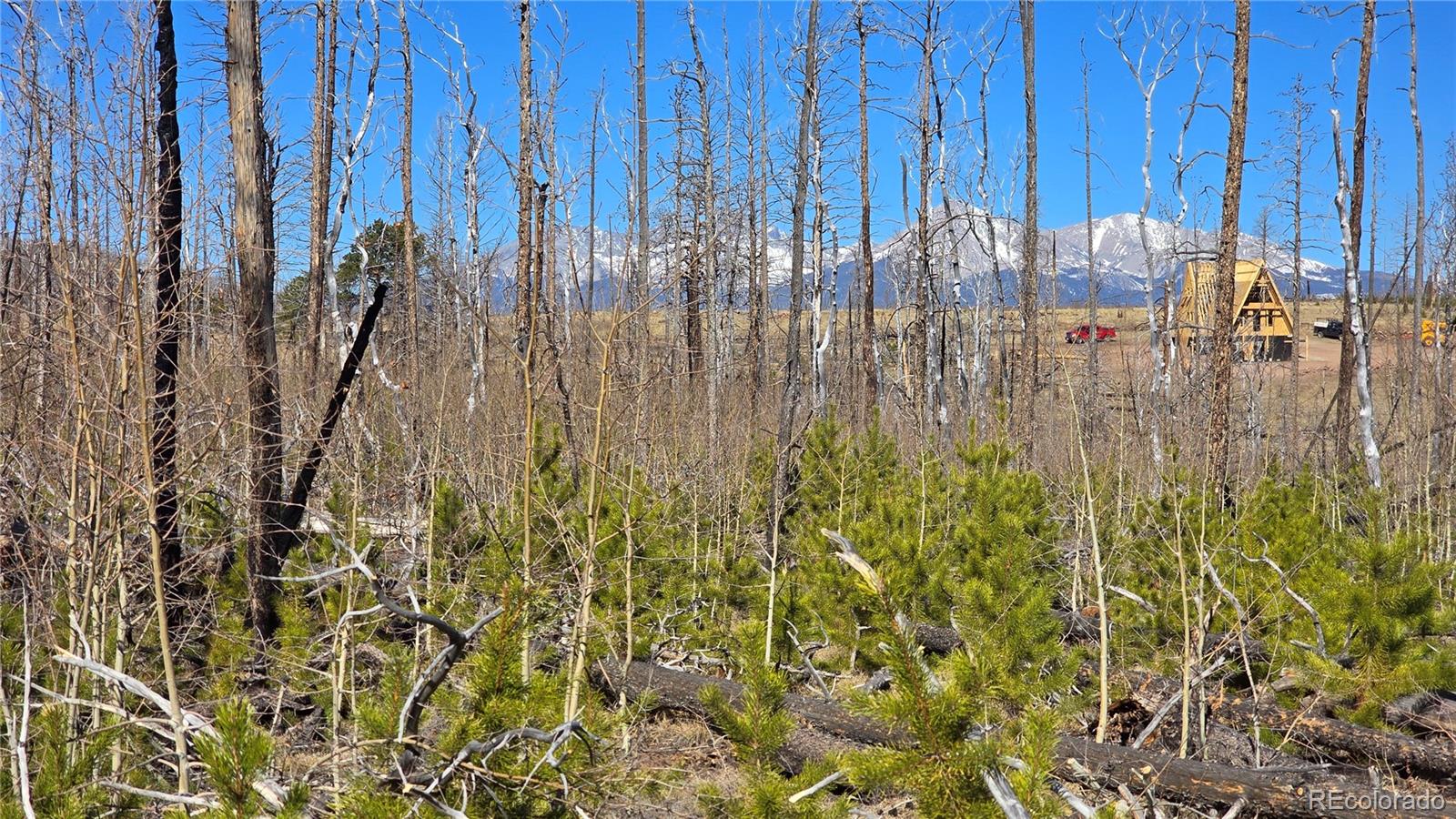 Lot 1460 Von Heyl Lane Fort Garland CO 81133