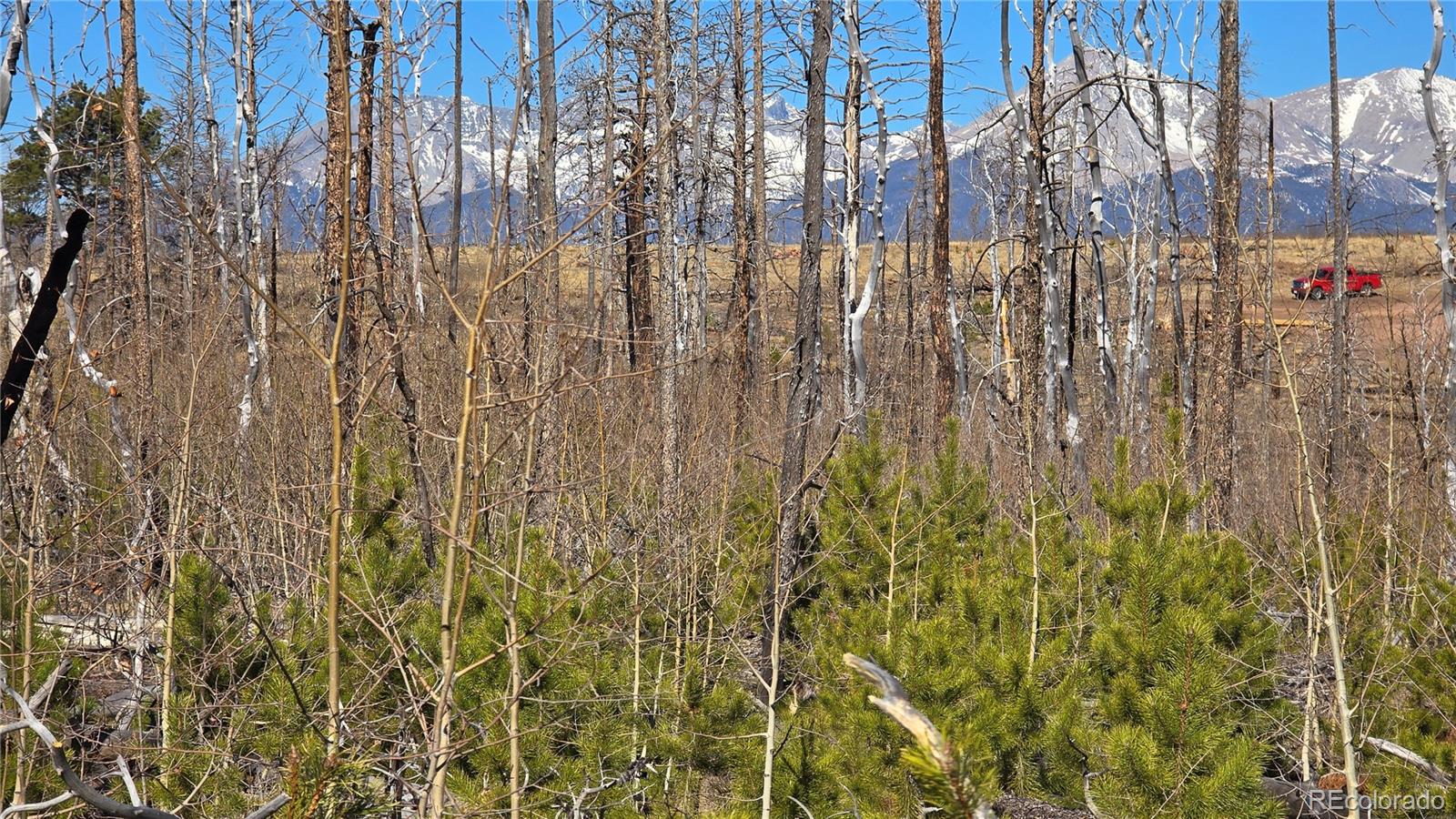 Lot 1460 Von Heyl Lane Fort Garland CO 81133