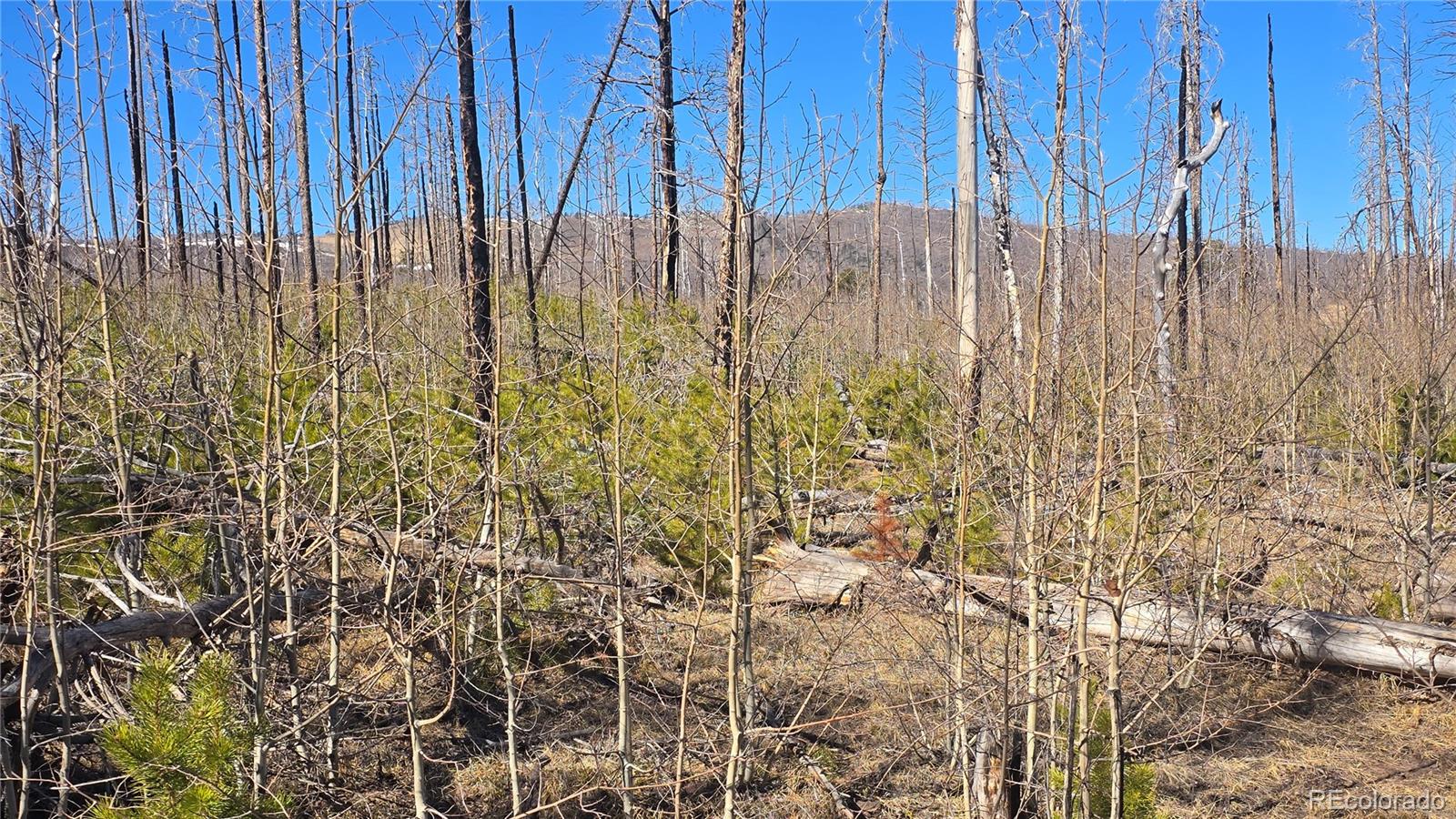 Lot 1460 Von Heyl Lane Fort Garland CO 81133
