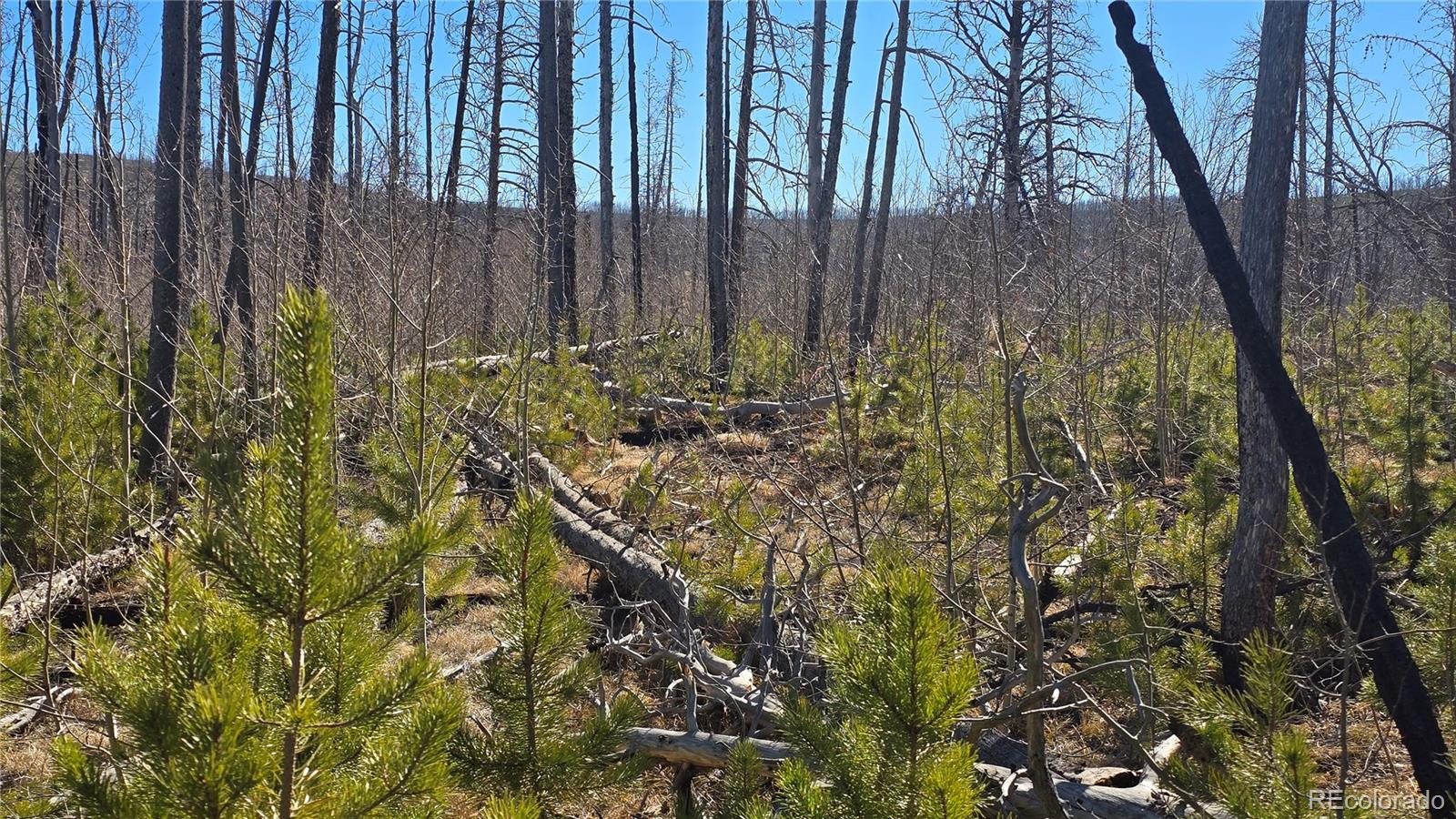 Lot 1460 Von Heyl Lane Fort Garland CO 81133