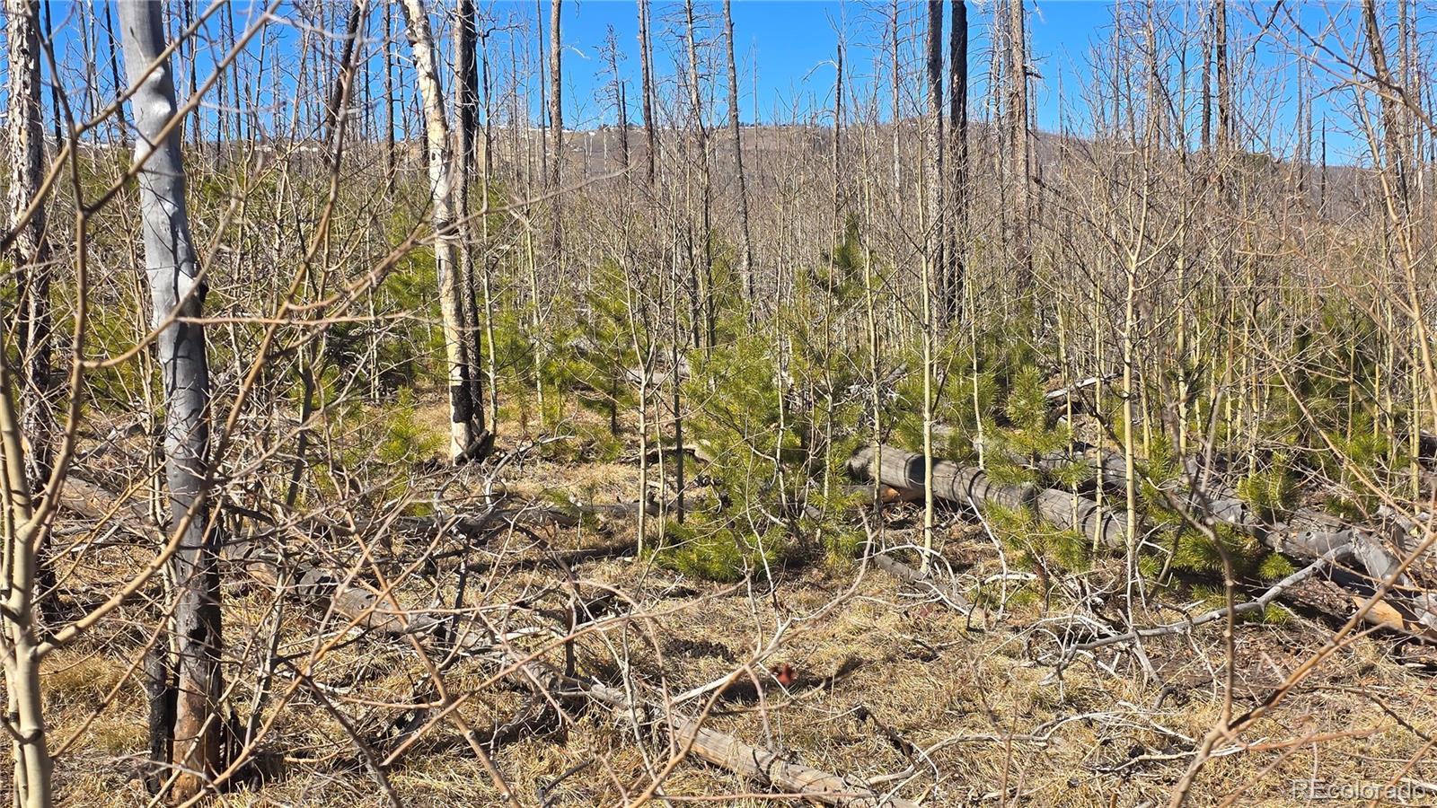 Lot 1460 Von Heyl Lane Fort Garland CO 81133