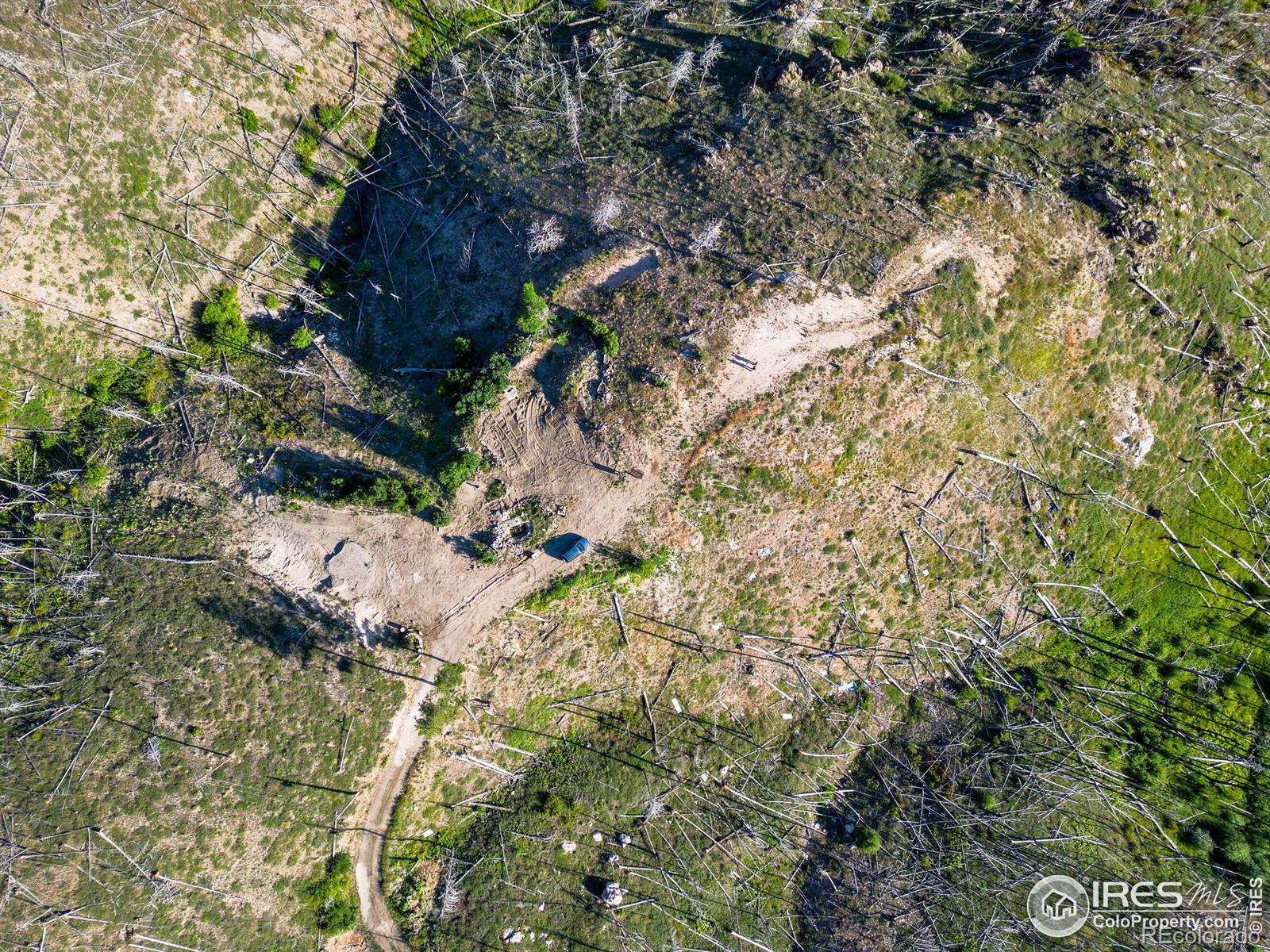 100 Canyon Gulch Road Bellvue CO 80512