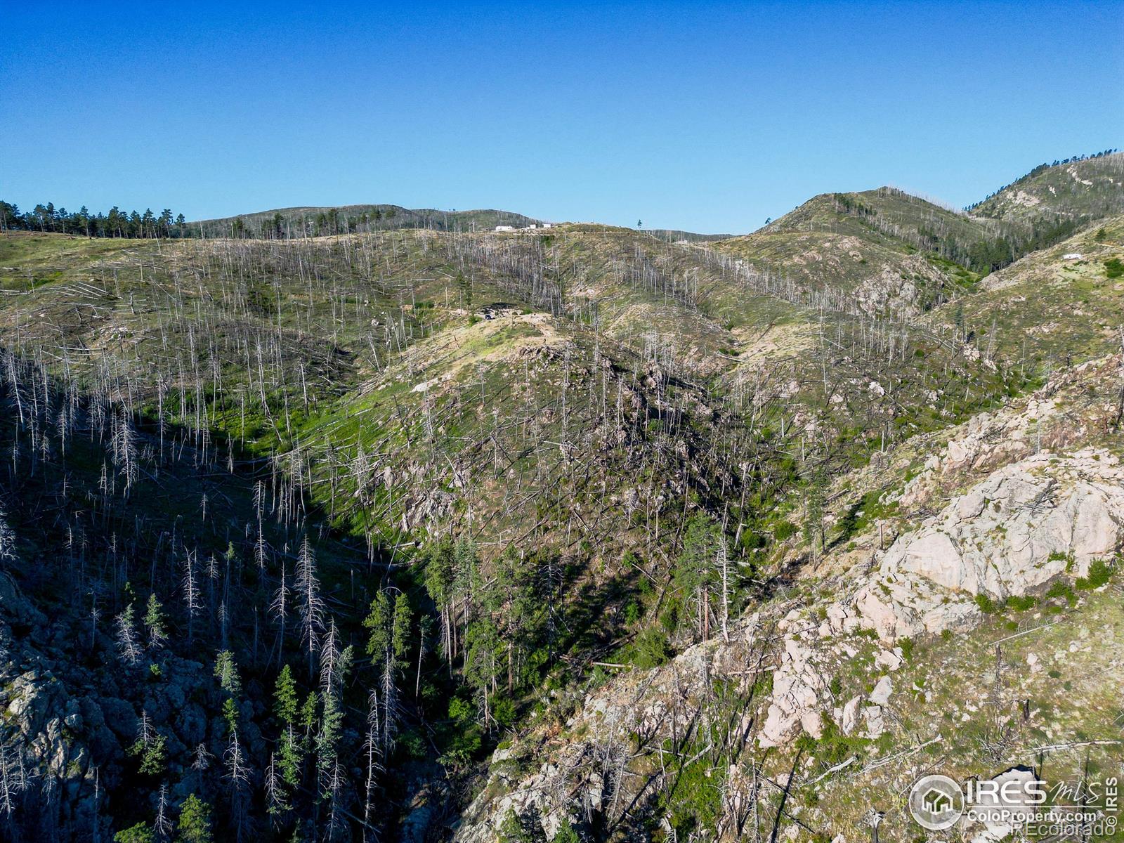 100 Canyon Gulch Road Bellvue CO 80512