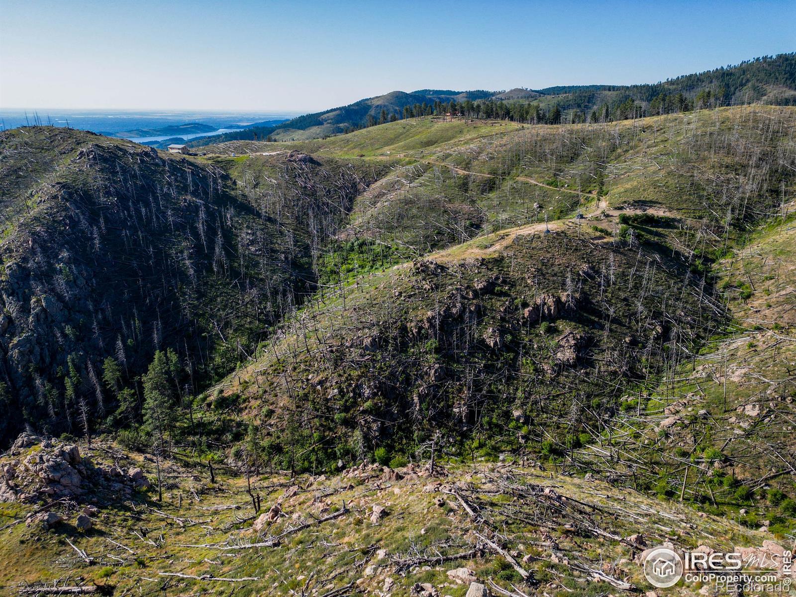 100 Canyon Gulch Road Bellvue CO 80512