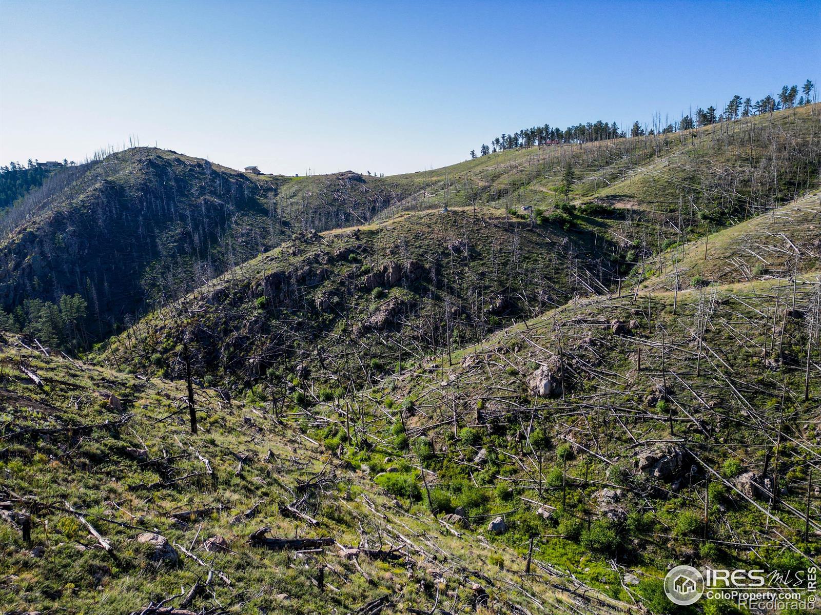 100 Canyon Gulch Road Bellvue CO 80512
