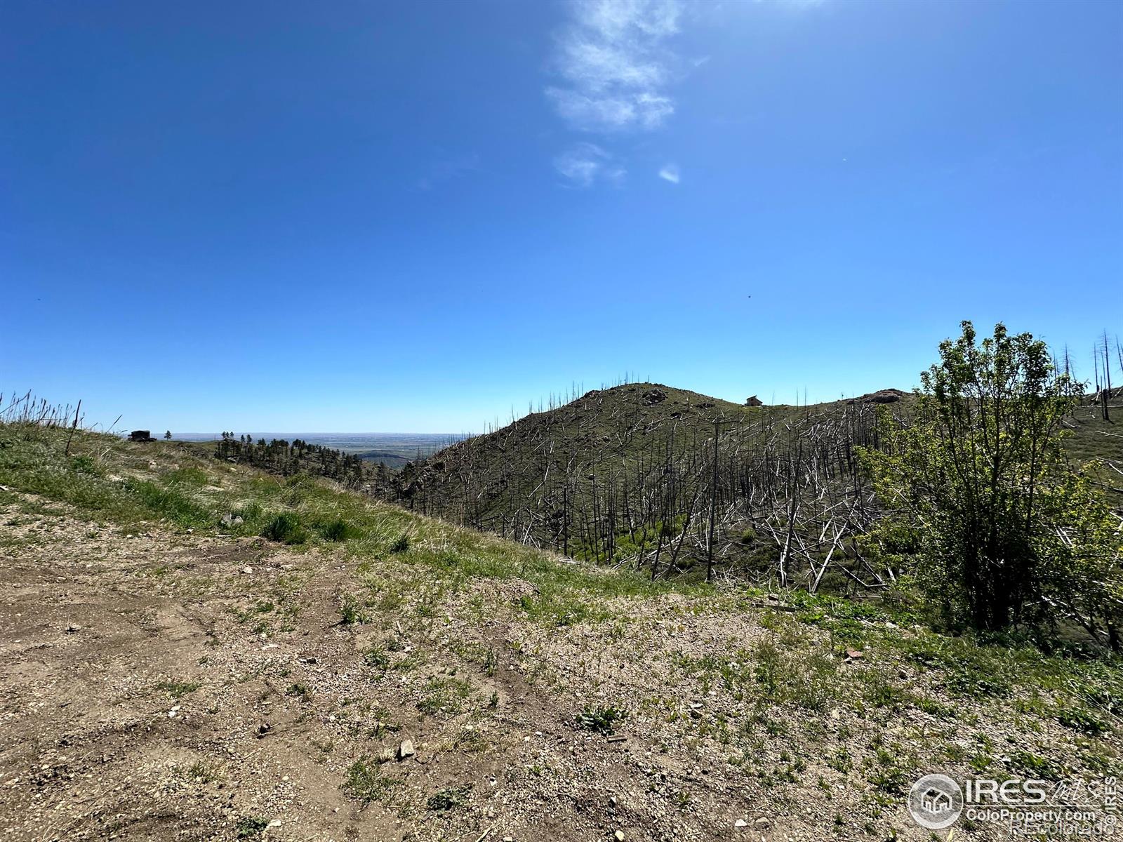 100 Canyon Gulch Road Bellvue CO 80512