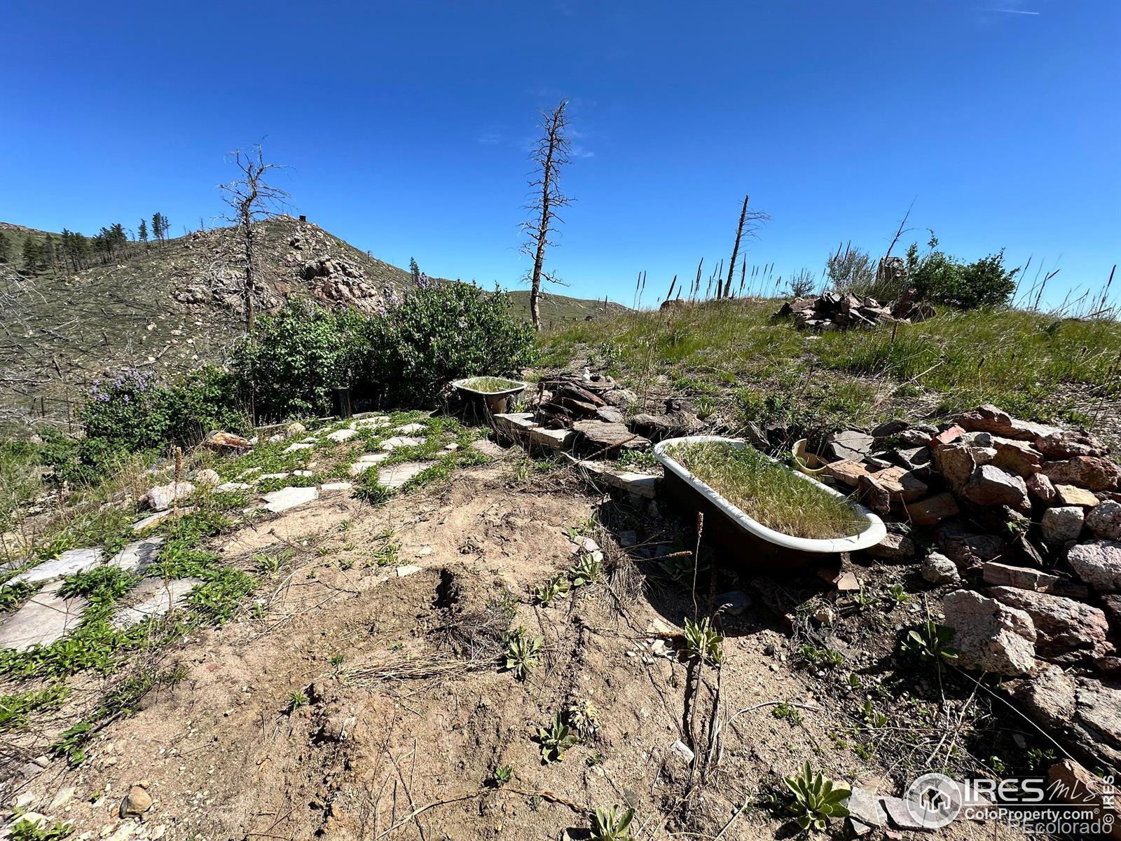 100 Canyon Gulch Road Bellvue CO 80512